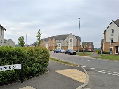 Picture 25